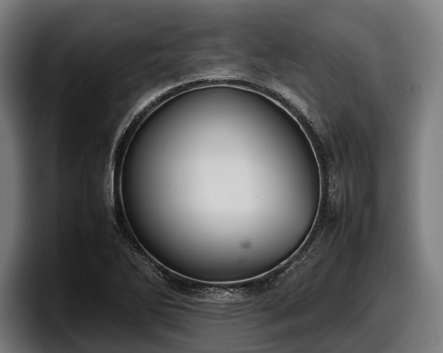 X0000097821270200803201430