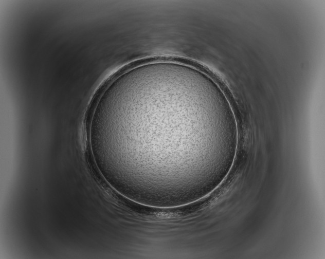 X0000097821271200803201430