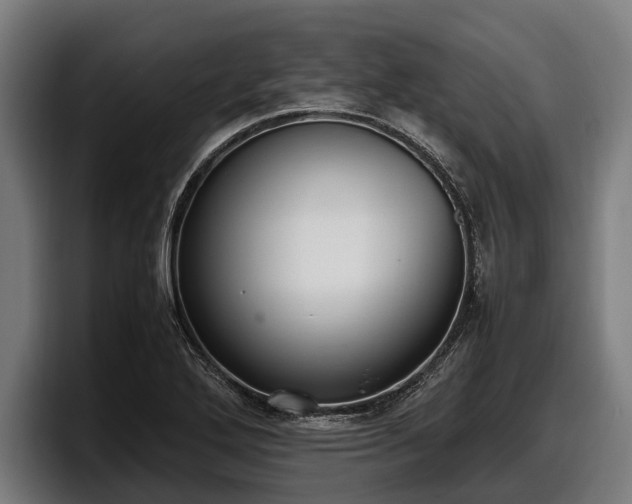 X0000097821272200803201430