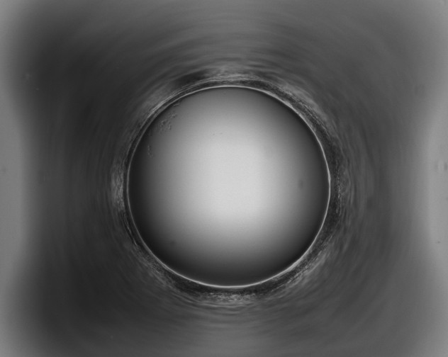 X0000097821273200803201430