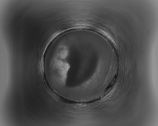 X0000097821275200803201430