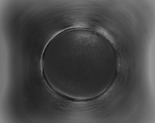 X0000097821276200803201430