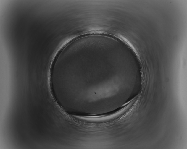 X0000097821277200803201430