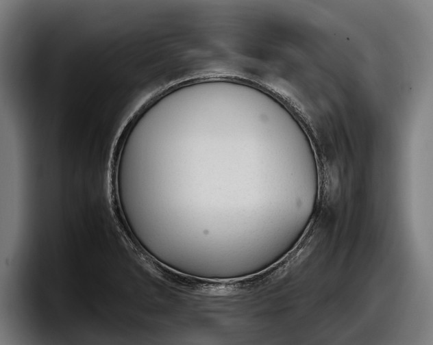 X0000097821278200803201430