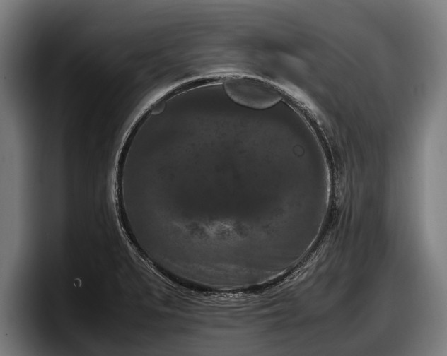 X0000097821279200803201430