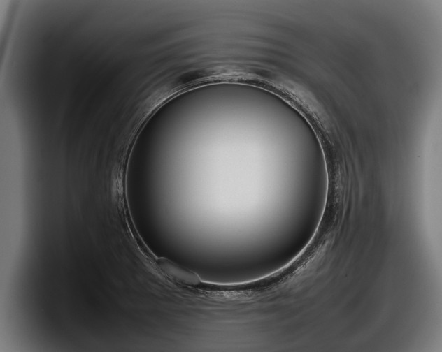 X0000097821281200803201430