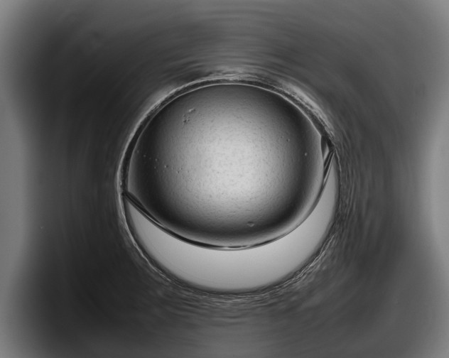 X0000097821283200803201430