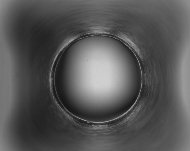 X0000097821285200803201430