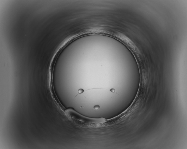 X0000097821286200803201430