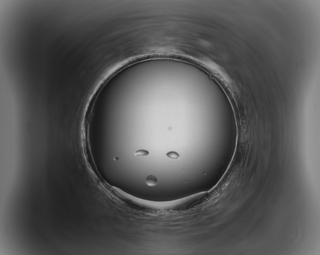 X0000097821287200803201430