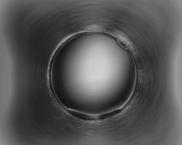 X0000097821288200803201430