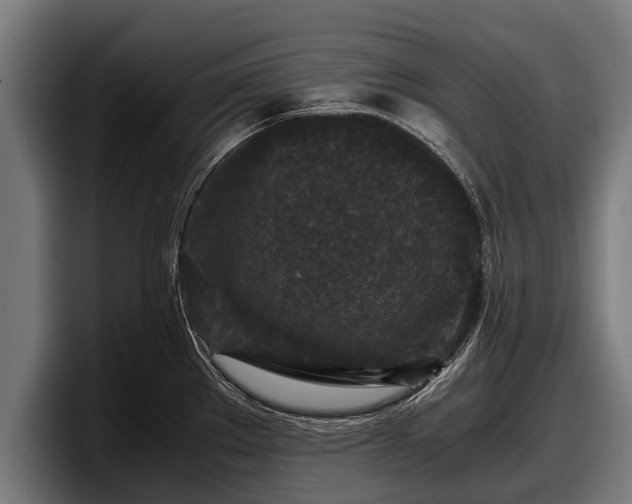 X0000097821289200803201430