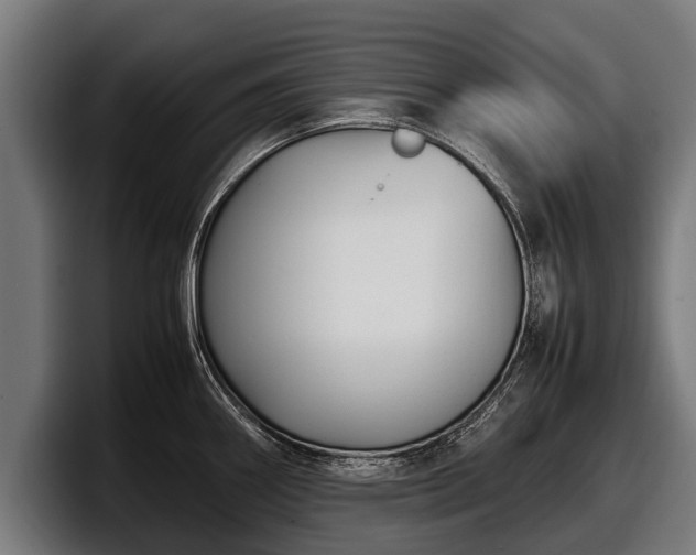 X0000097821290200803201430