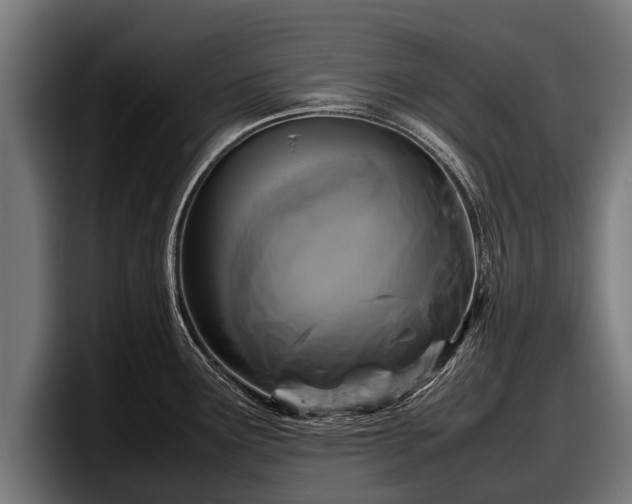 X0000097821291200803201430