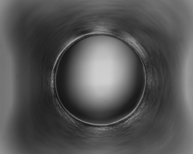 X0000097821292200803201430