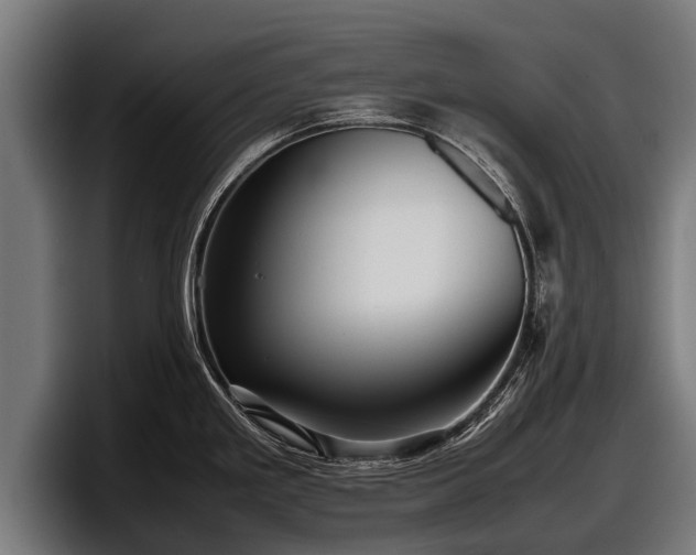 X0000097821293200803201430