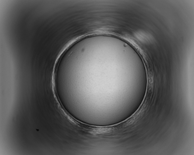 X0000097821294200803201430