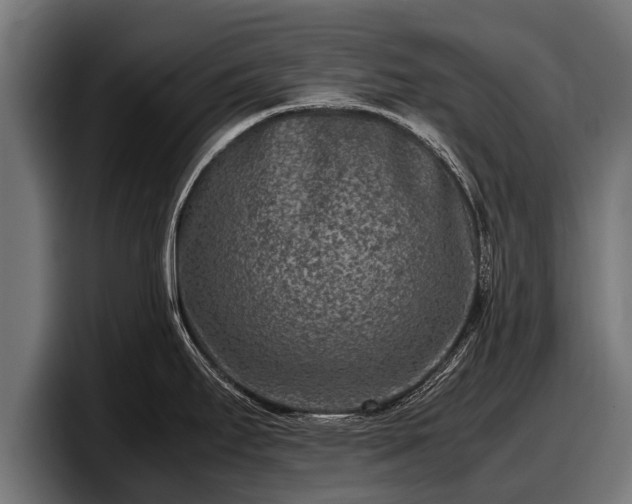 X0000097821295200803201430