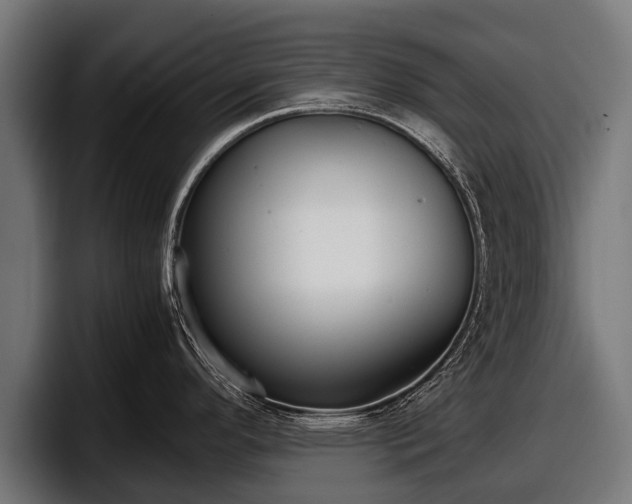 X0000097821296200803201430