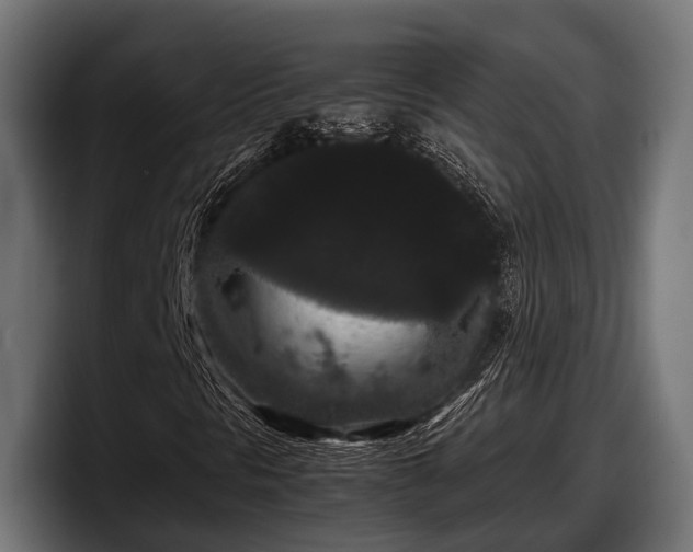 X0000097821297200803201429