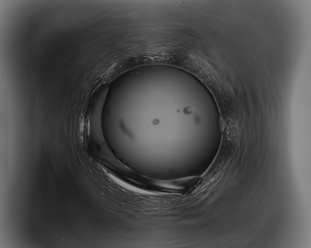 X0000097821298200803201429