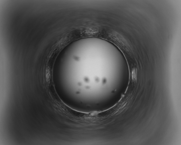 X0000097821299200803201429