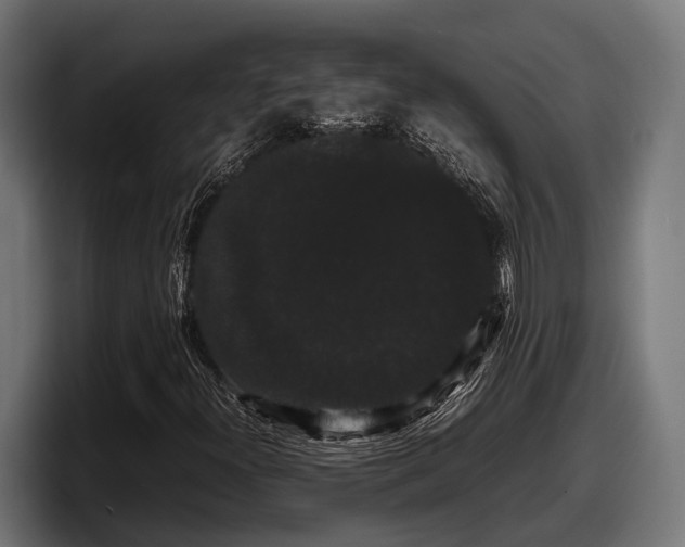 X0000097821300200803201429