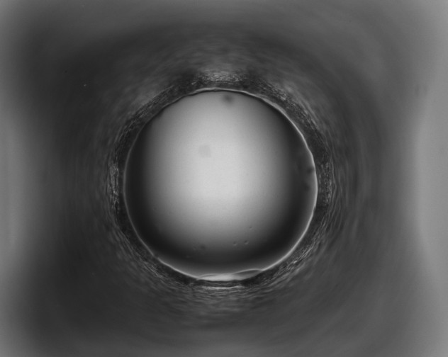 X0000097821301200803201429