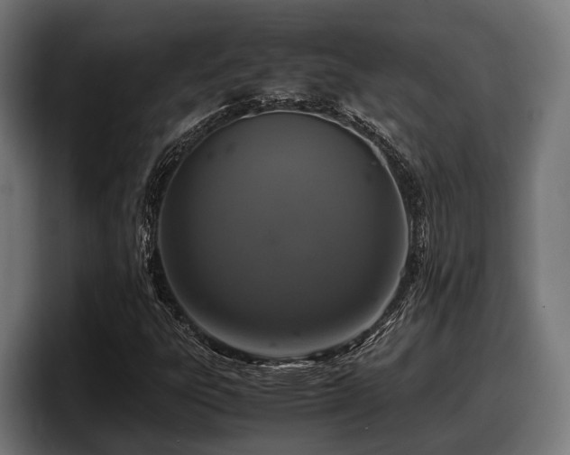 X0000097821303200803201429