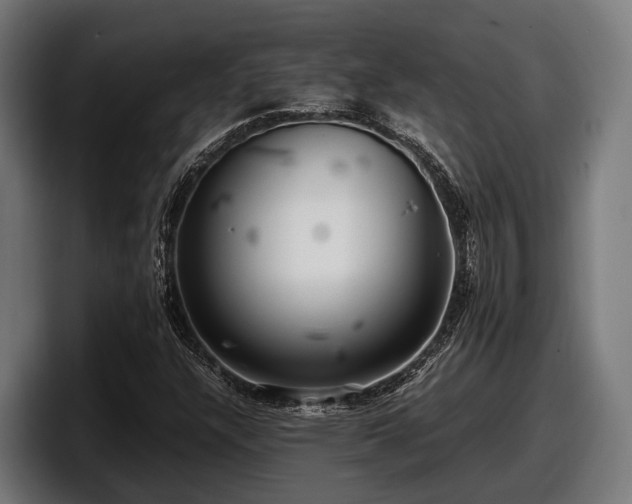 X0000097821304200803201429