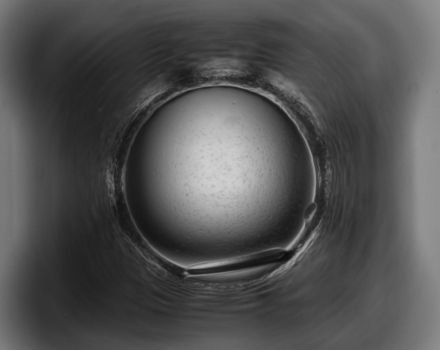 X0000097821305200803201429