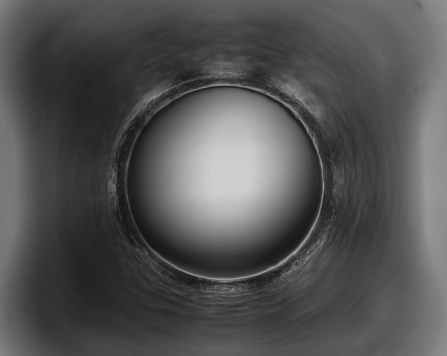 X0000097821307200803201429