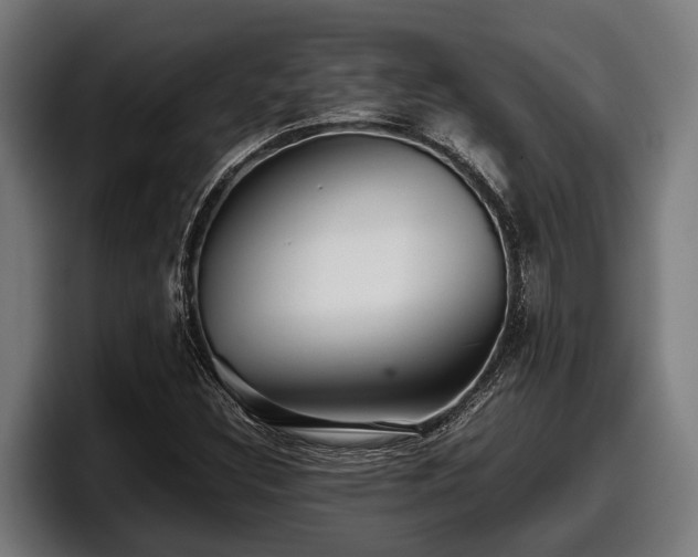 X0000097821308200803201429