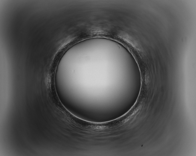 X0000097821309200803201429