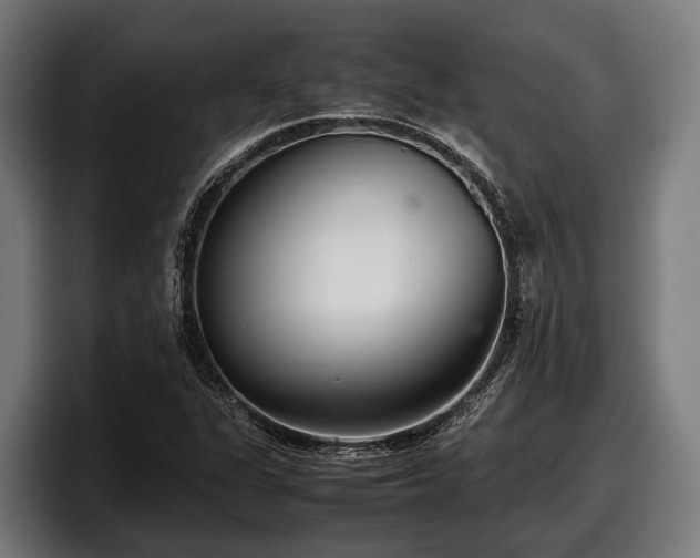 X0000097821311200803201429