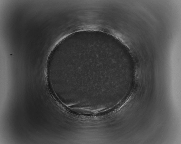 X0000097821312200803201429