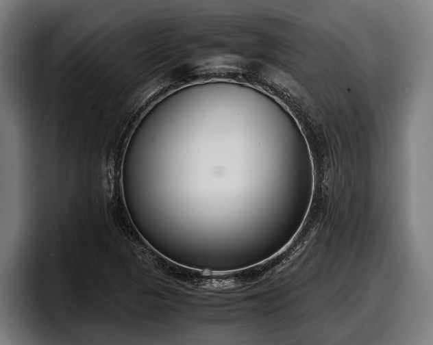 X0000097821313200803201429