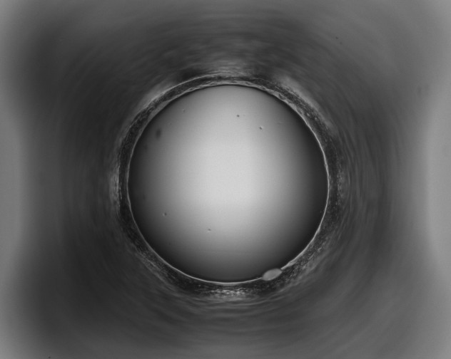 X0000097821315200803201429