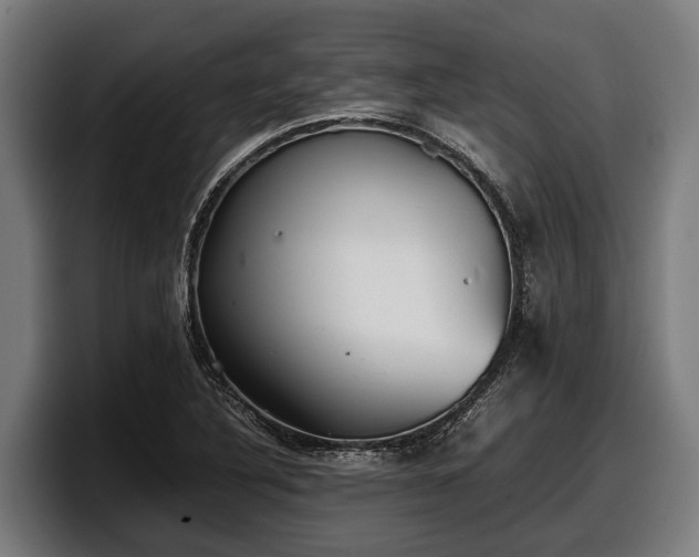 X0000097821316200803201429