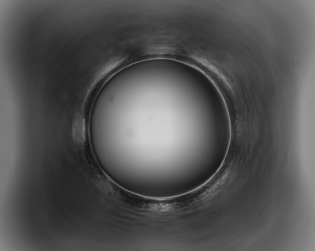 X0000097821317200803201429