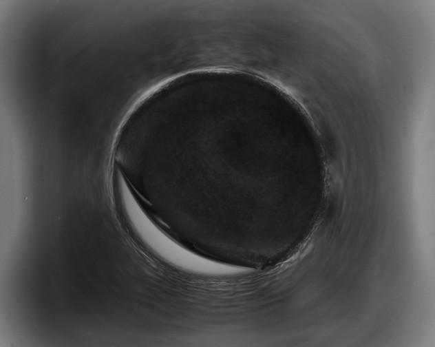 X0000097821319200803201429