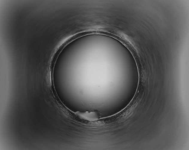 X0000097821320200803201429