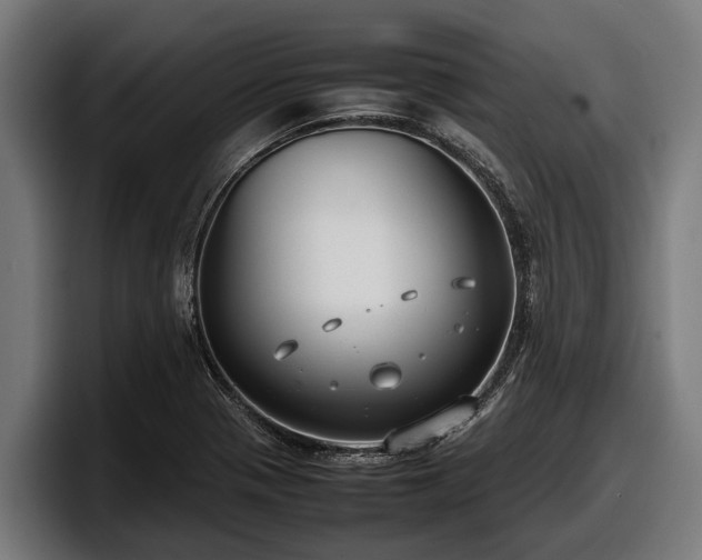 X0000097821321200803201429