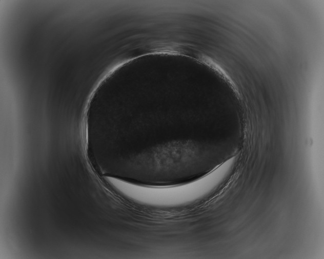 X0000097821323200803201430