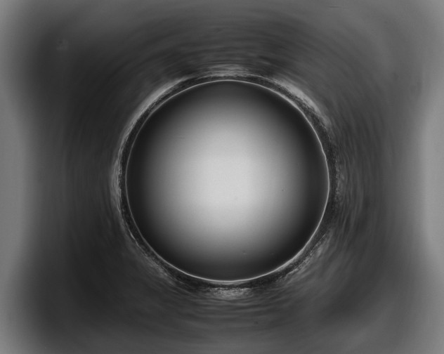 X0000097821325200803201430