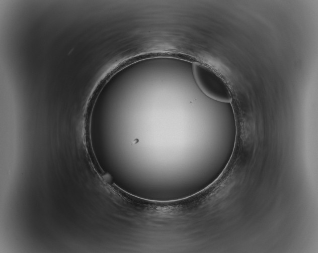 X0000097821326200803201430