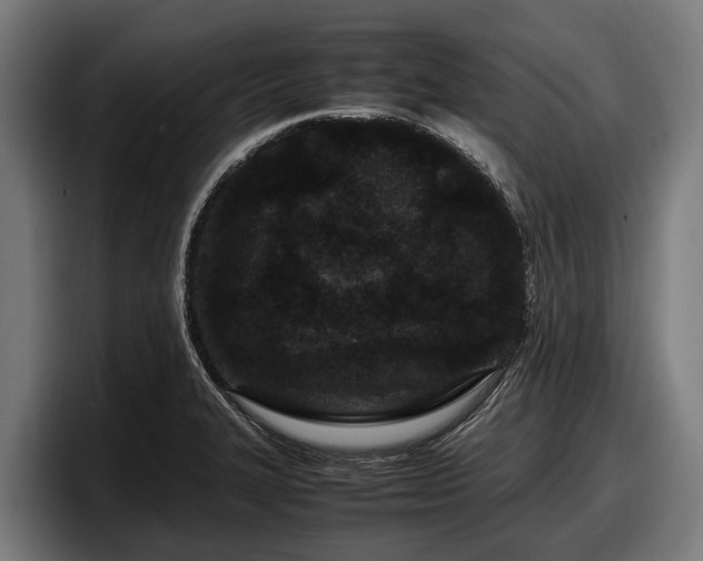 X0000097821327200803201430