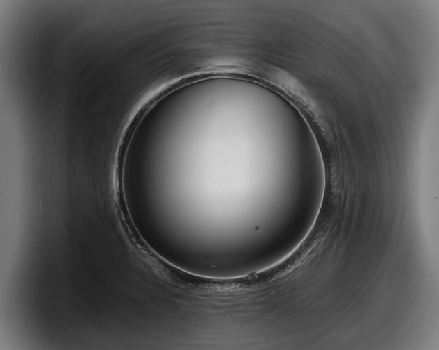 X0000097821328200803201430