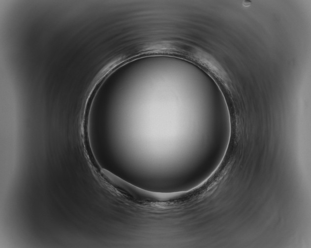 X0000097821330200803201430