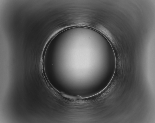 X0000097821332200803201430